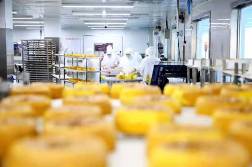 餐桌上的食品安全無小事 走進沈陽綠色工廠，探訪初級農產品的神秘生產線