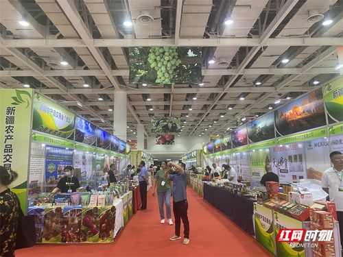 新疆農產品長沙交易會盛大開幕，超300種初級產品等你來品鑒
