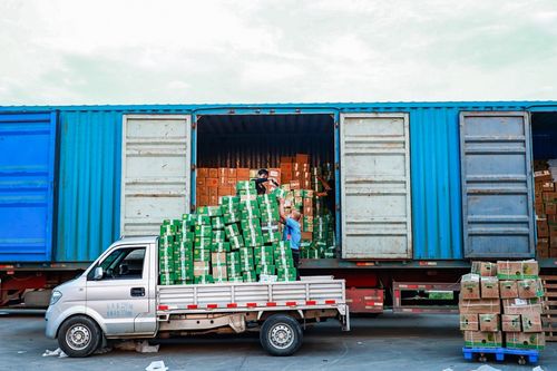 菜鳥愛心助農綠色通道 為農戶破解農產品滯銷難題