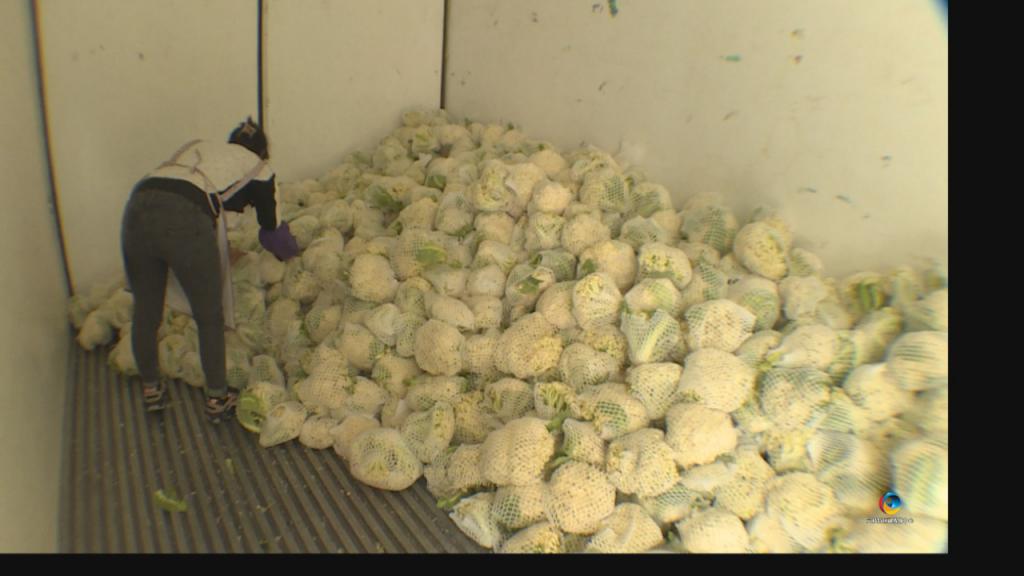 借力東風銷松花——六枝兩萬斤初級農產品打通市場新通道